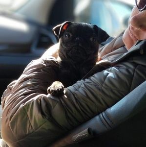 Meet your Posher, Heather